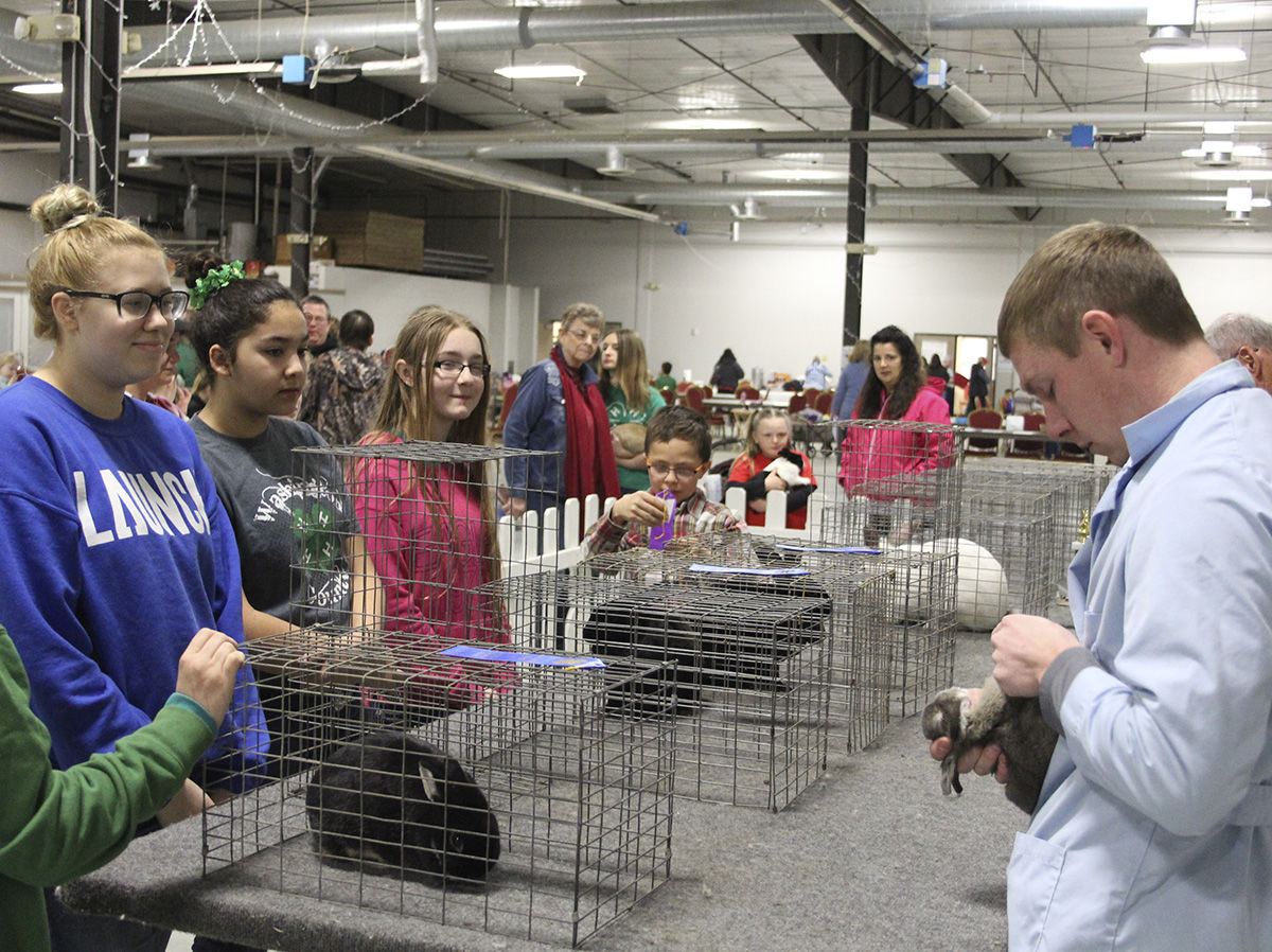 Spring 4-H Rabbit Show